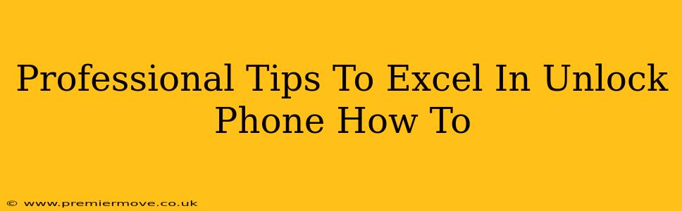 Professional Tips To Excel In Unlock Phone How To