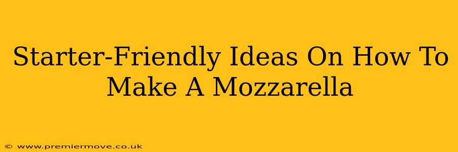 Starter-Friendly Ideas On How To Make A Mozzarella