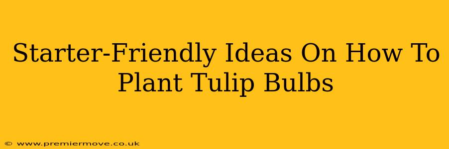Starter-Friendly Ideas On How To Plant Tulip Bulbs