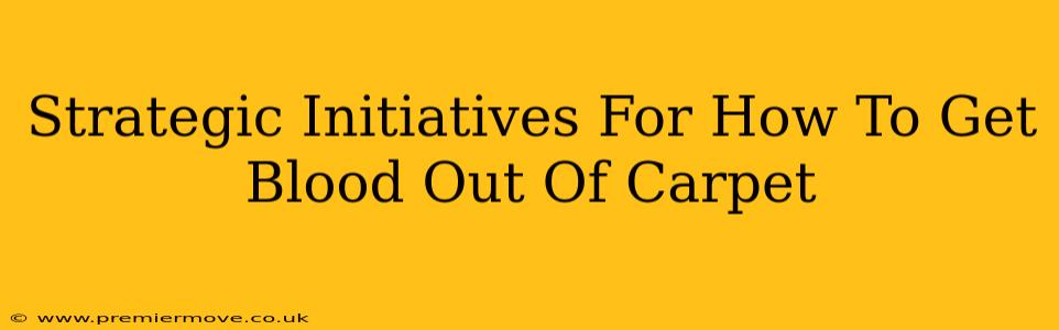 Strategic Initiatives For How To Get Blood Out Of Carpet