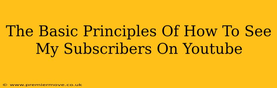 The Basic Principles Of How To See My Subscribers On Youtube