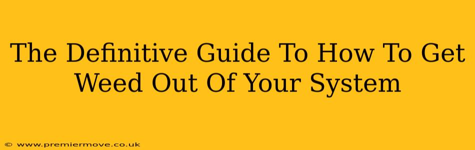The Definitive Guide To How To Get Weed Out Of Your System