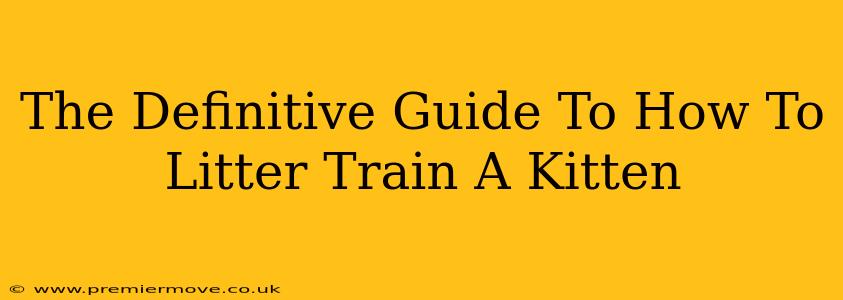 The Definitive Guide To How To Litter Train A Kitten