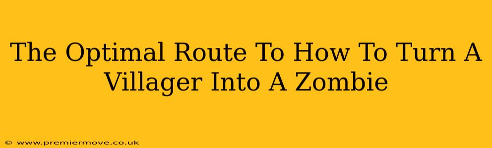 The Optimal Route To How To Turn A Villager Into A Zombie