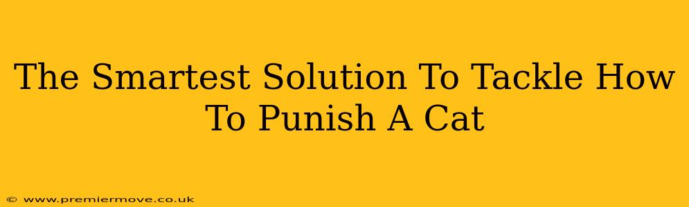 The Smartest Solution To Tackle How To Punish A Cat