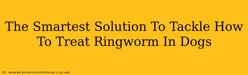 The Smartest Solution To Tackle How To Treat Ringworm In Dogs