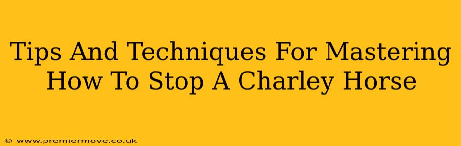 Tips And Techniques For Mastering How To Stop A Charley Horse