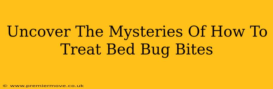 Uncover The Mysteries Of How To Treat Bed Bug Bites