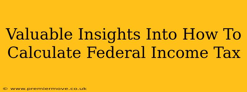 Valuable Insights Into How To Calculate Federal Income Tax
