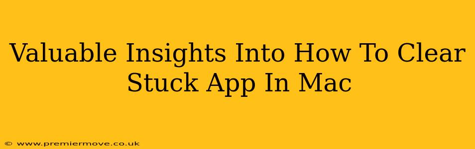 Valuable Insights Into How To Clear Stuck App In Mac