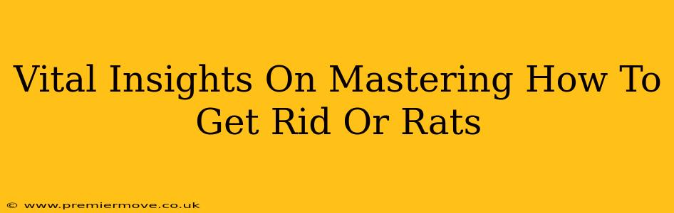 Vital Insights On Mastering How To Get Rid Or Rats