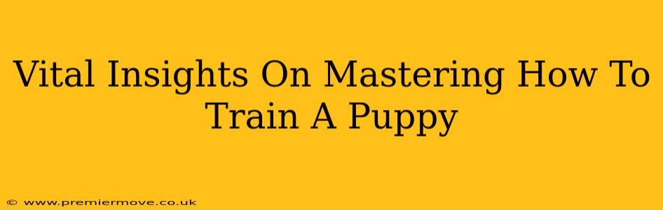 Vital Insights On Mastering How To Train A Puppy