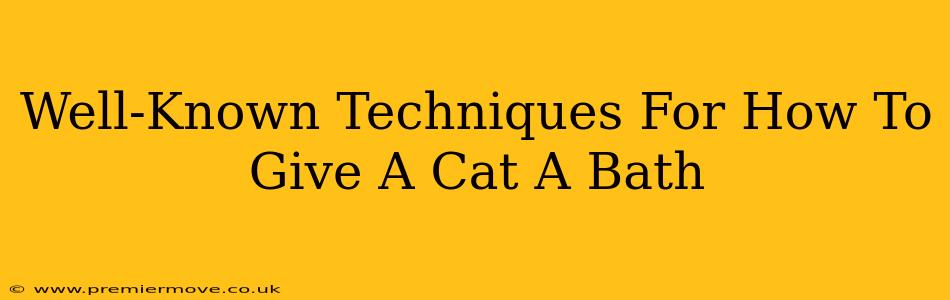 Well-Known Techniques For How To Give A Cat A Bath