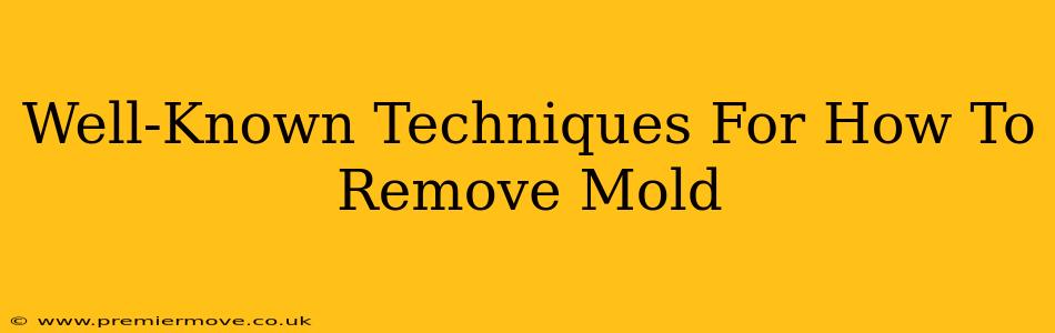 Well-Known Techniques For How To Remove Mold